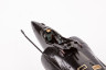 FE1264 OV-10D+ 1/48