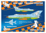 BFC094 MiG-21MF Bunny Fighter 1/72