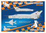 BFC094 MiG-21MF Bunny Fighter 1/72