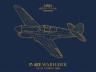 R0023 P-40E Warhawk 1/48