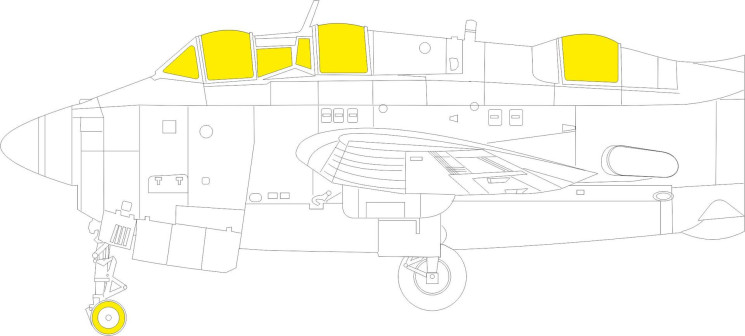 EX1017 Маски Gannet AS.1/AS.4 TFace 1/48