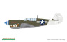 82242 P-40N Warhawk 1/48