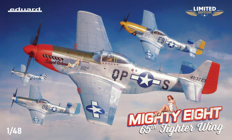 11196 Mighty Eight: 65th Fighter Wing