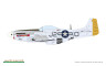11196 Mighty Eight: 65th Fighter Wing