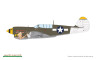 84210 P-40N Warhawk