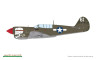 84210 P-40N Warhawk