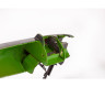 FE1034 Ил-28T 1/48