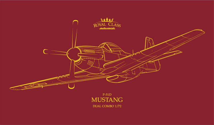 R0021 P-51D MUSTANG DUAL COMBO 1/72