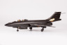 BIG49213 F-101B 1/48