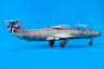 8099 L-29 Дельфин 1/48