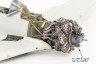 632063 Fw 190F-8 двигатель 1/32