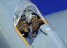 49226 P-47D-20 1/48