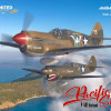 11185 ТИХООКЕАНСЬКА ЗІРКА P-40E Warhawk DUAL COMBO 1/48