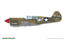 COL A
P-40E-1, 41-25164, Capt. Ben S. Irvin, 9th FS, 49th FG, Darwin, Australia, 1942 
