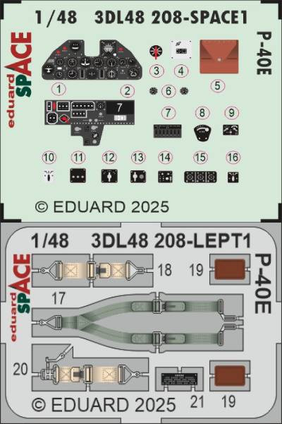 3DL48208 P-40E SPACE 1/48