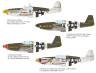 932011 P-51B Mustang